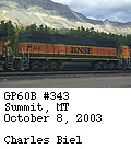 [BNSF 343]