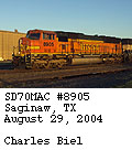 [BNSF 8905]