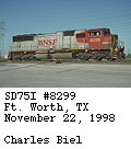 [BNSF 8299]