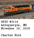 [BNSF 3114]