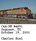 [BNSF 4891]