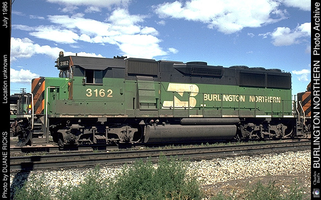 3162.JPG
