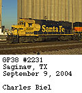 [BNSF 2231]