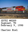 [BNSF 8289]