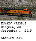[BNSF 7238]