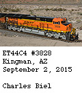 [BNSF 3928]
